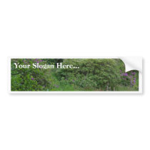Ponds Bushes bumper stickers by lifesphere Ponds Bushes bumper stickers