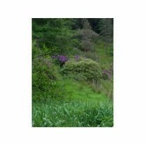 Ponds Bushes photo sculptures by lifesphere Ponds Bushes photo sculptures