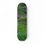 Ponds Bushes Skate Board Decks