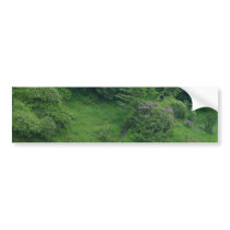 Ponds Bushes Trails bumper stickers by lifesphere Ponds Bushes Trails bumper stickers