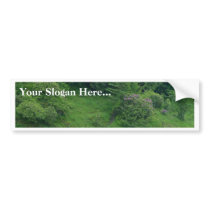 Ponds Bushes Trails bumper stickers by lifesphere Ponds Bushes Trails bumper stickers