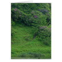 Ponds Bushes Trails Card