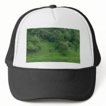 Ponds Bushes Trails hats by lifesphere Ponds Bushes Trails hats