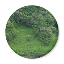 Ponds Bushes Trails magnets by lifesphere Ponds Bushes Trails magnets
