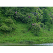 Ponds Bushes Trails photo sculptures by lifesphere Ponds Bushes Trails photo sculptures