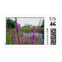 Pondview postage