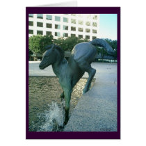 Poney cards