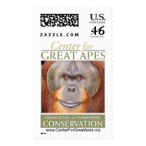 Pongo face postage