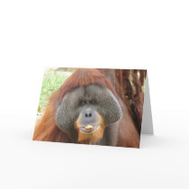 Pongo Orangutan Ape Greeting Card