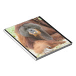 Pongo Orangutan Ape Notepad
