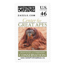 Pongo postage