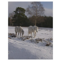 Ponies in the snow flyers