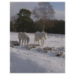 Ponies in the snow letterhead design