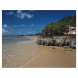 Ponta Negra Beach, Natal, Brazil Custom Flyer