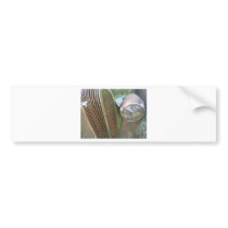 Pontiac Grid Bumper Sticker