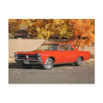 Pontiac GTO Post Cards