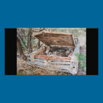 Pontiac Photo Card photo cards