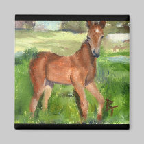 Pony aceo Magnet