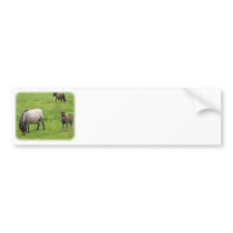 Pony and Foal 8J061D-09 bumper stickers