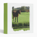 Pony Binder