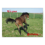 Pony Birthday Card
