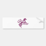 Pony Bumper Stickers