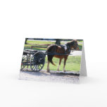 Pony Cart Cards
