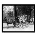 Pony Cart Girl and Dogs 1921 posters by lc_vintagephotos Pony Cart Girl and Dogs 1921 posters