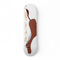 Pony Express Transport skateboards