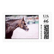 Pony Headshot postage by HFSHCpres Pony Headshot postage