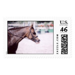 Pony Headshot Postage Stamp