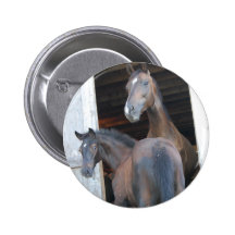 Pony/Horse Button