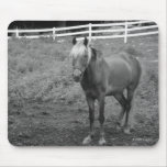 Pony in field mousepads