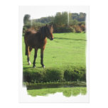 Pony Invitation