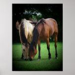 Pony Love Poster