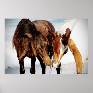 Pony Love Posters