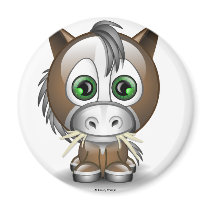 Pony magnets