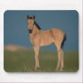 Pony Mouse Mat Mousepads