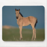Pony Mouse Mat Mousepads