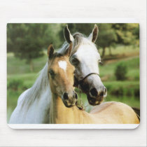 Pony Pad mousepads