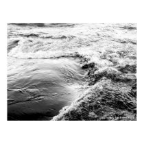 Pony Pasture Wave poster posters