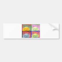pony Photo 1109 Bumper Sticker