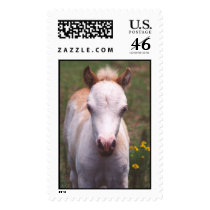pony postage by cowgirl_kmw11 pony postage