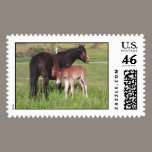 pony postage