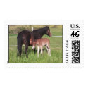 pony postage by electrify pony postage
