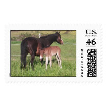 pony postage by electrify pony postage
