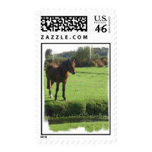 Pony Postage