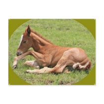 Pony Postcard by Angels_Love_Gifts Pony Postcard
