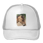 Pony Profile Baseball Hat
