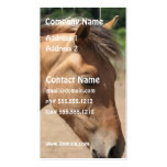 Pony Profile Business Card